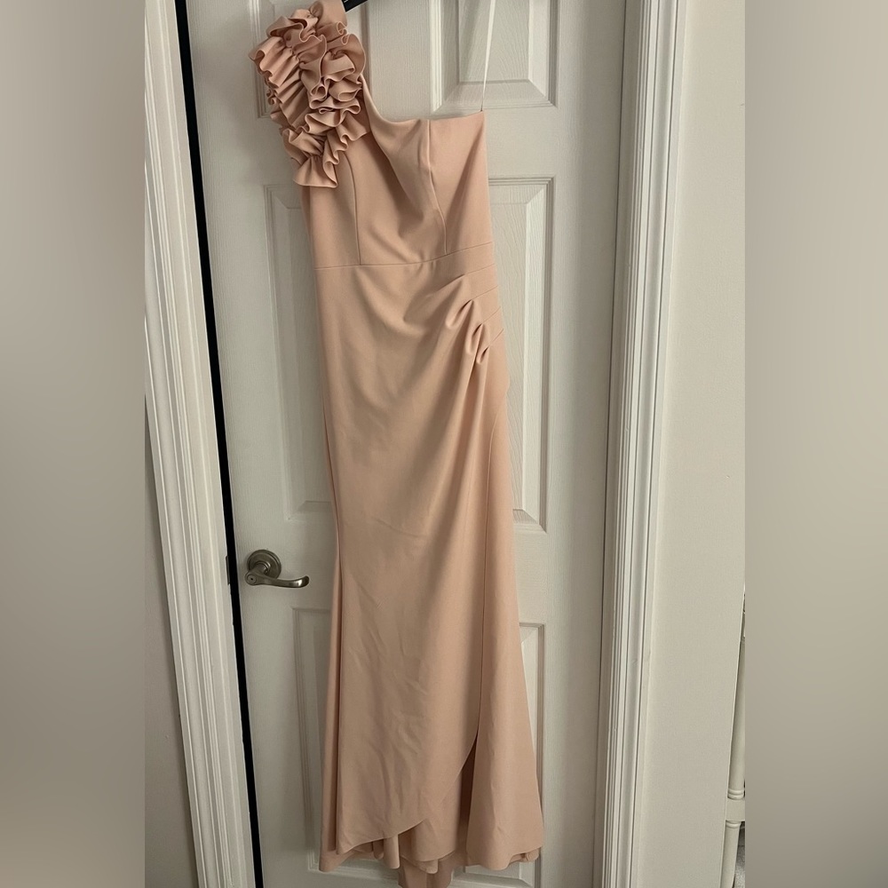 NWT Bloomingdale’s Aqua One Shoulder Ruffle Crepe Dress Gown, pale pink size 4